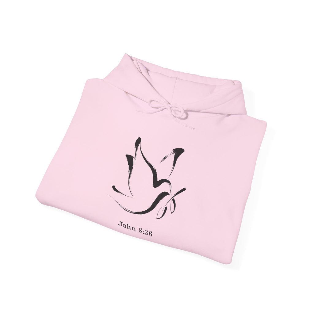 John 8:36 Comfort Unisex Hoodie