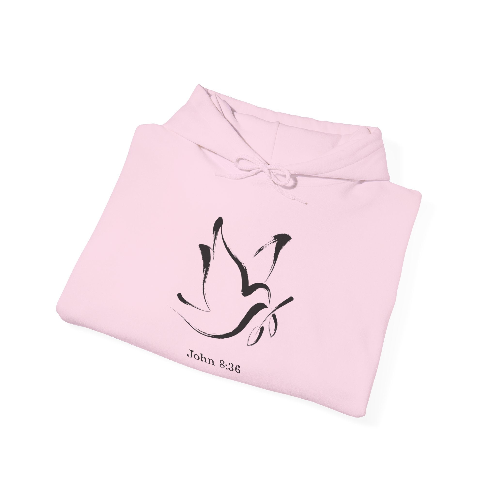 John 8:36 Comfort Unisex Hoodie