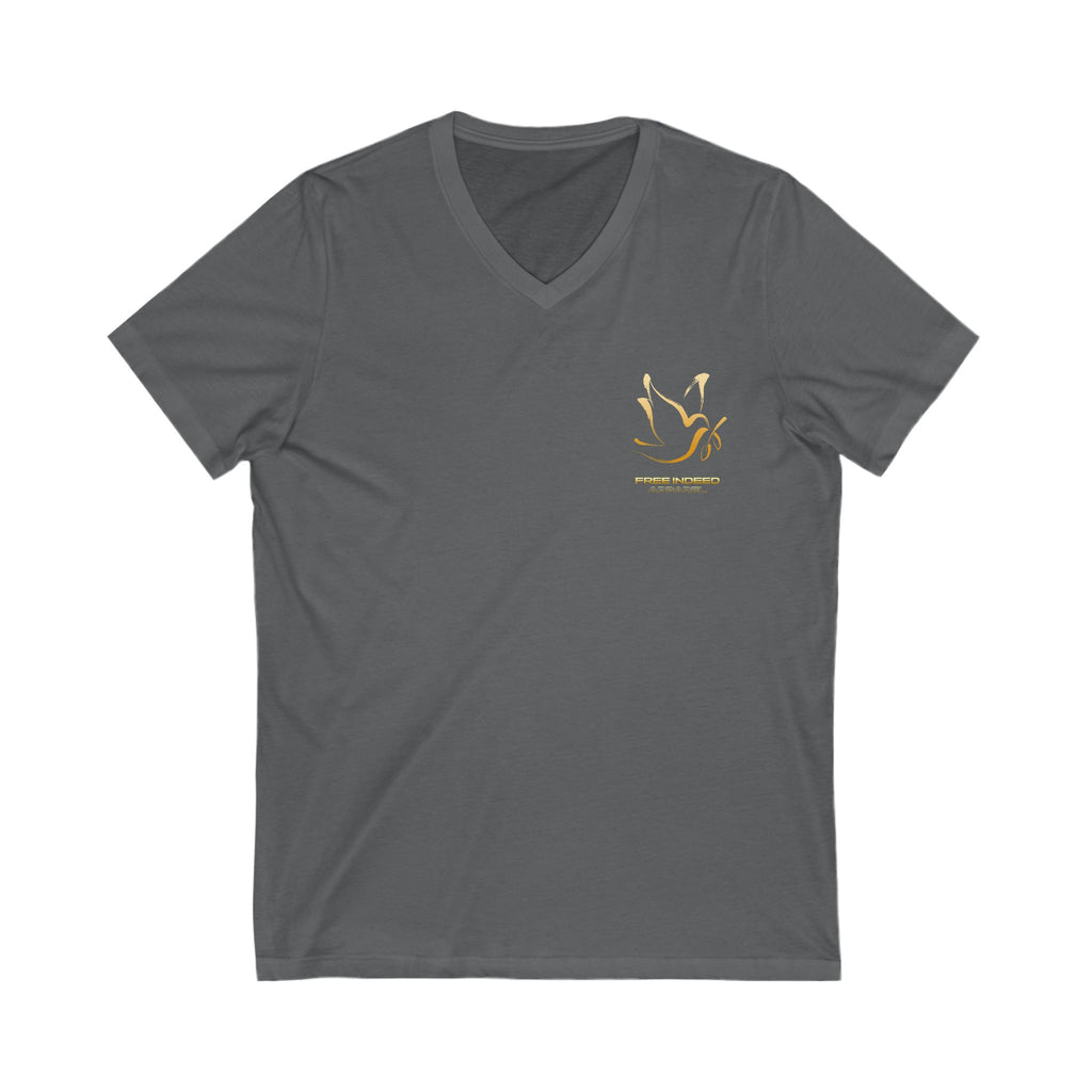 John 8:36 Women's V-neck Christian T-Shirt