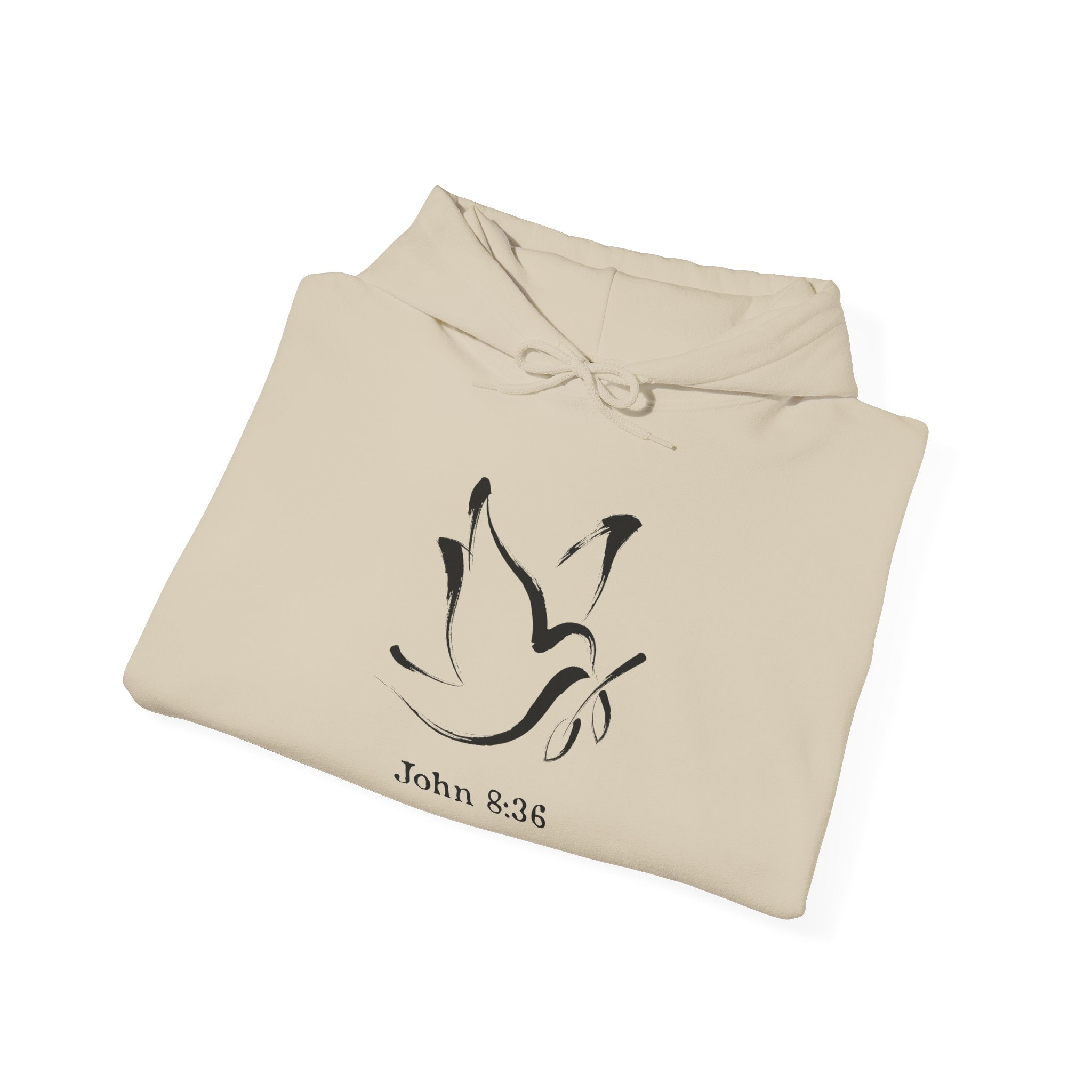 John 8:36 Comfort Unisex Hoodie