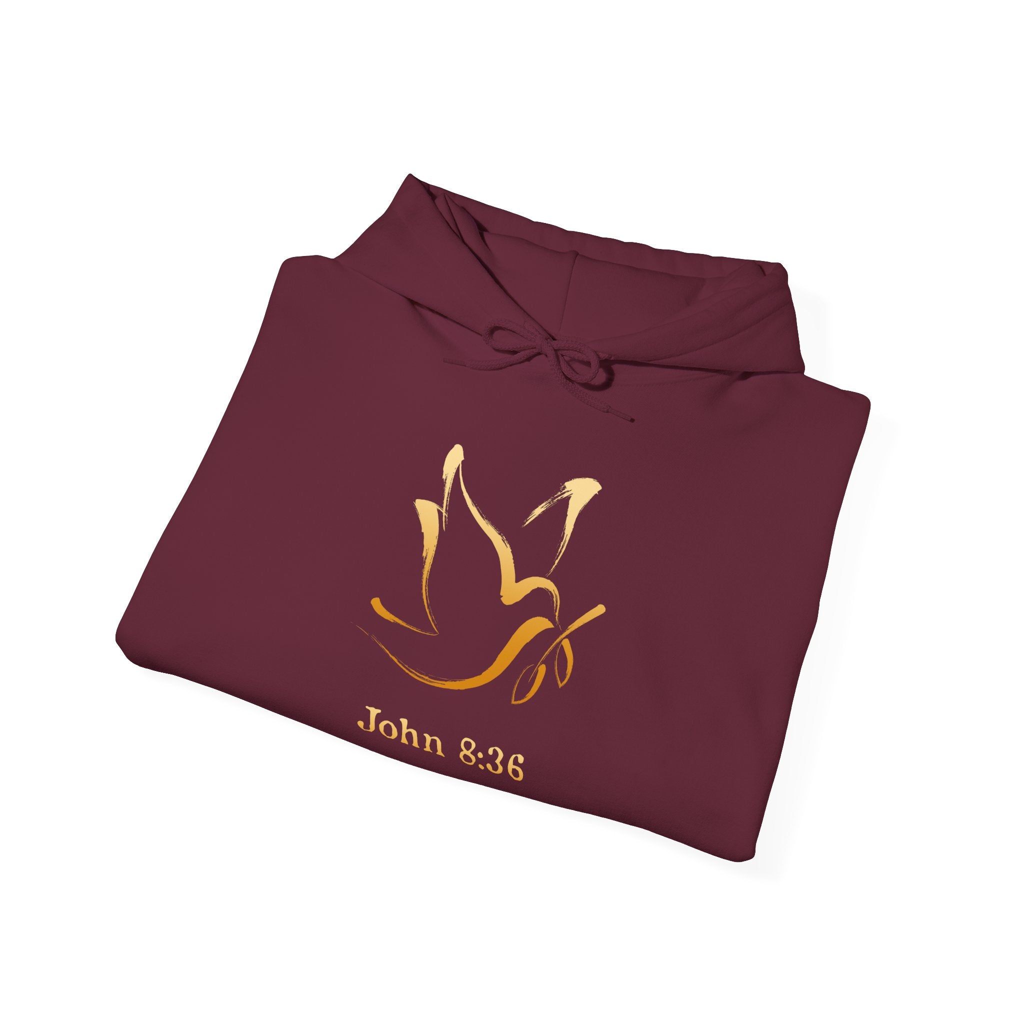 John 8:36 Comfort Unisex Hoodie